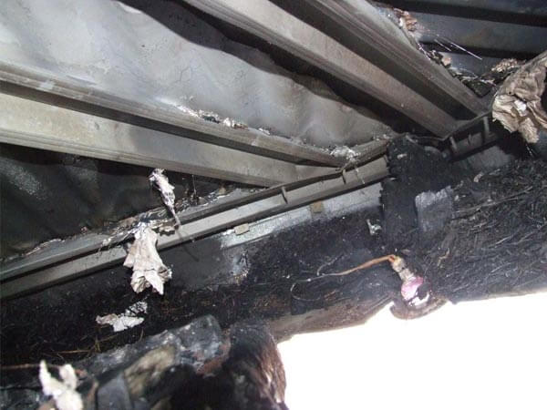 Fire Phil - Fire Scene Investigator